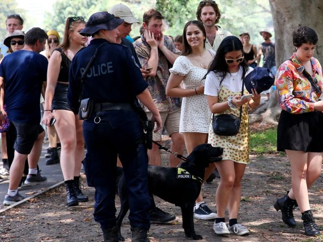 <a href='/city/Sydney/' target='_blank'>悉尼</a>音樂節上萬人到場,數十人因持毒品被捕,1名警員遭襲受傷