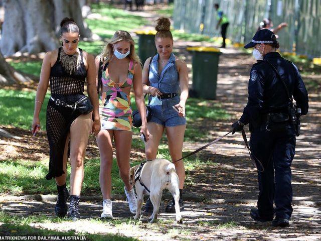 <a href='/city/Sydney/' target='_blank'>悉尼</a>音樂節上萬人到場,數十人因持毒品被捕,1名警員遭襲受傷