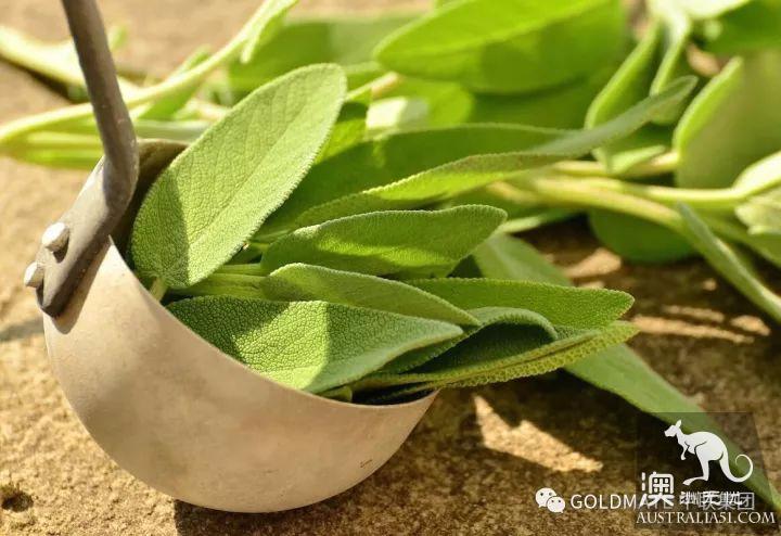 澳洲超市裹常見的調味香料與香草,內附各類香料中英文對照