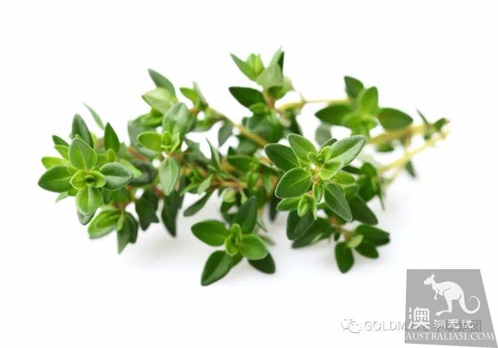 澳洲超市裹常見的調味香料與香草,內附各類香料中英文對照