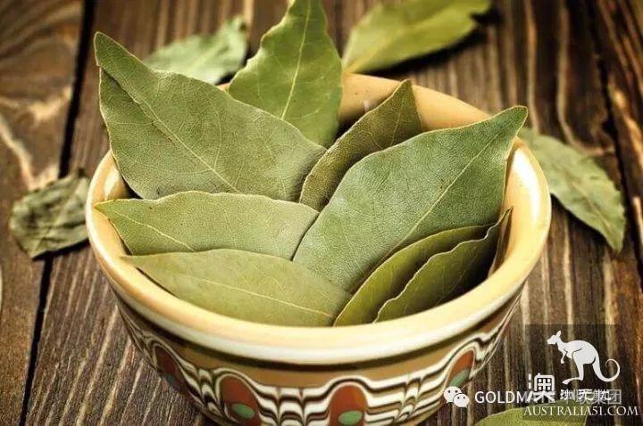 澳洲超市裹常見的調味香料與香草,內附各類香料中英文對照
