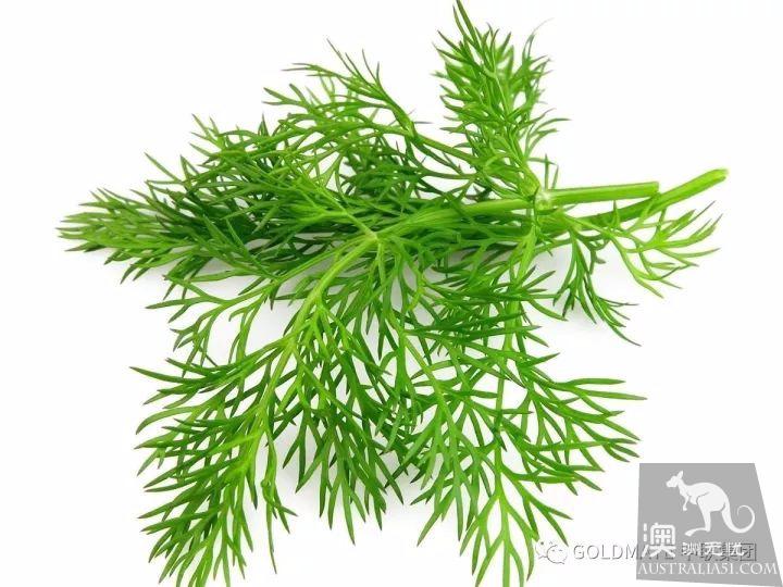 澳洲超市裹常見的調味香料與香草,內附各類香料中英文對照