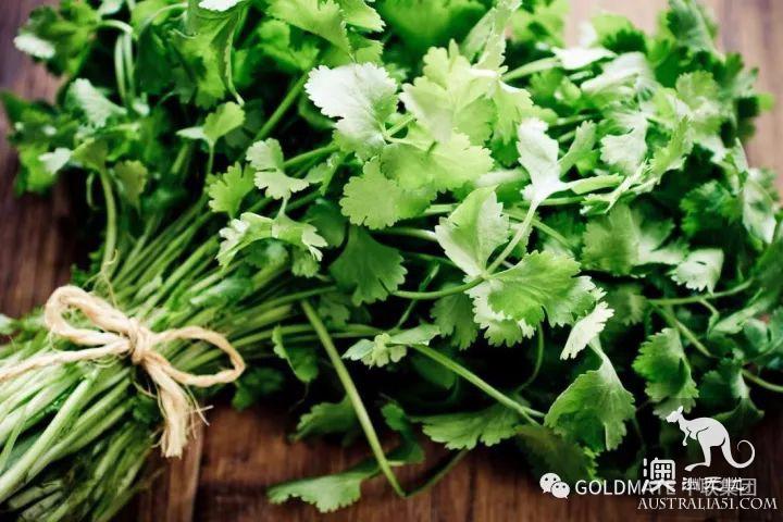 澳洲超市裹常見的調味香料與香草,內附各類香料中英文對照