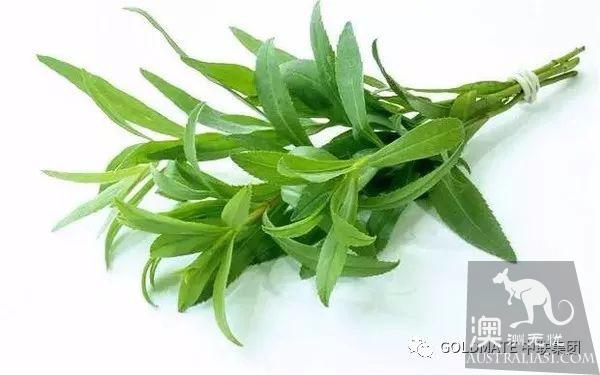 澳洲超市裹常見的調味香料與香草,內附各類香料中英文對照