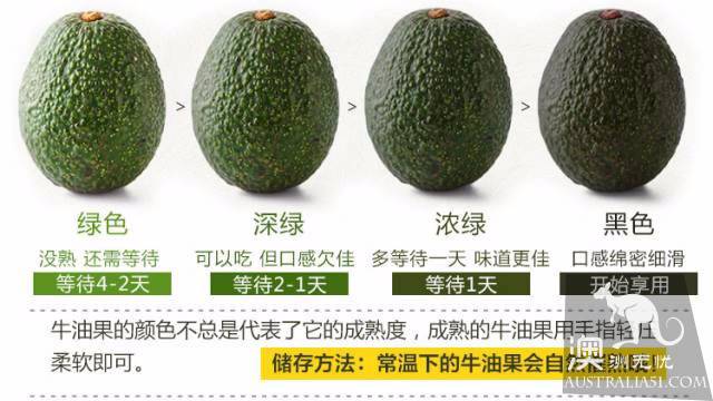 如何選擇好的牛油果,牛油果的正確吃法