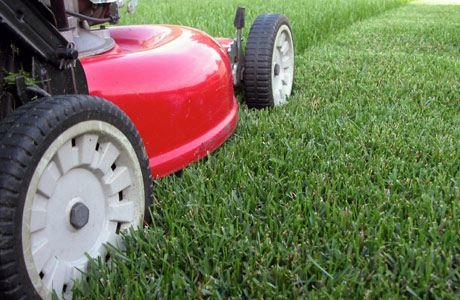 如何選擇合適的割草機(Lawn Mower)?