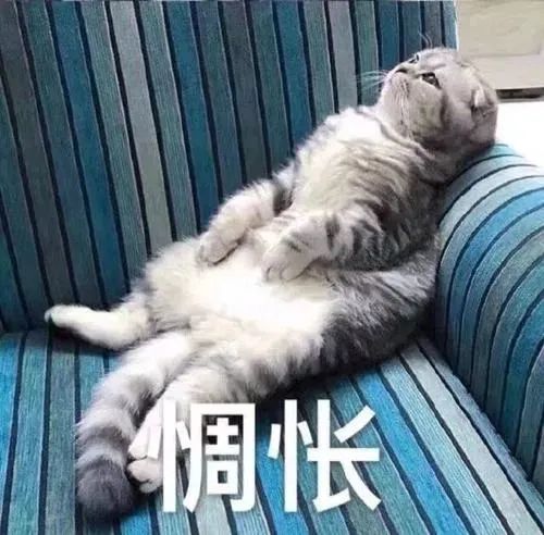 假期實習有多重要?利用這個假期偷偷提升自己!