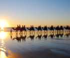 布鲁姆（Broome）