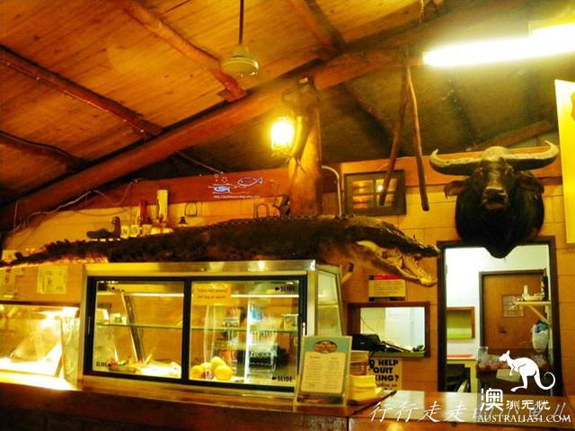 北领地卡卡杜国家公园干货篇
