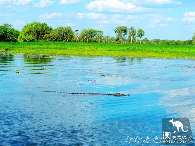 北领地卡卡杜国家公园干货篇