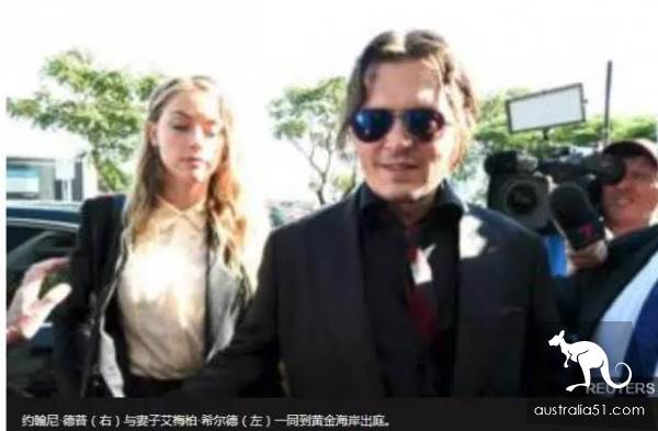 带你回家不容易!澳洲萌宠领养购买指南,以及宠物出入境流程
