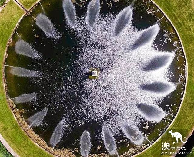 浪漫星空露营，悉尼梅菲尔德花园，在大自然里睡出腔调范