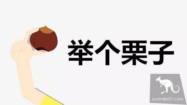 秋天到!墨爾本摘栗子攻略手冊,最全采摘自駕路線,全打包好了