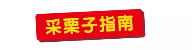 秋天到!墨爾本摘栗子攻略手冊,最全采摘自駕路線,全打包好了