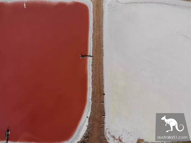 Hutt Lagoon,西澳小粉湖,喂上帝,妳的蘭蔻粉水灑了