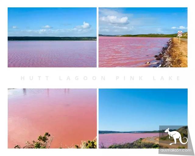 Hutt Lagoon,西澳小粉湖,喂上帝,妳的蘭蔻粉水灑了