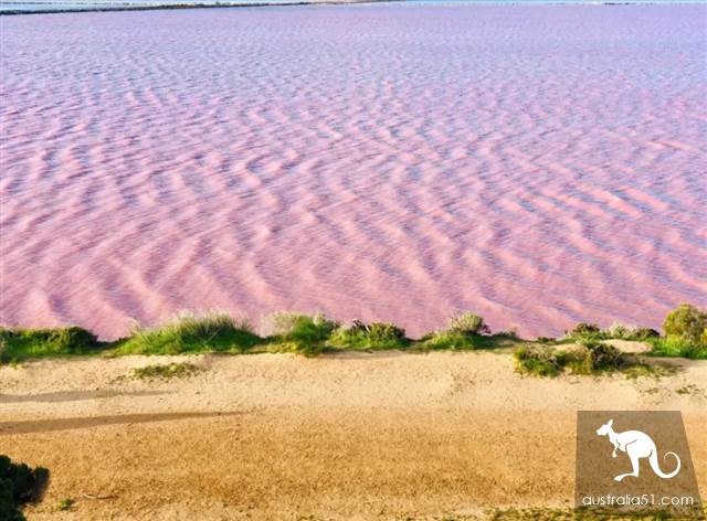 Hutt Lagoon,西澳小粉湖,喂上帝,妳的蘭蔻粉水灑了