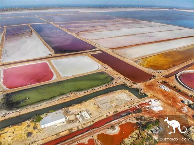 Hutt Lagoon,西澳小粉湖,喂上帝,妳的蘭蔻粉水灑了