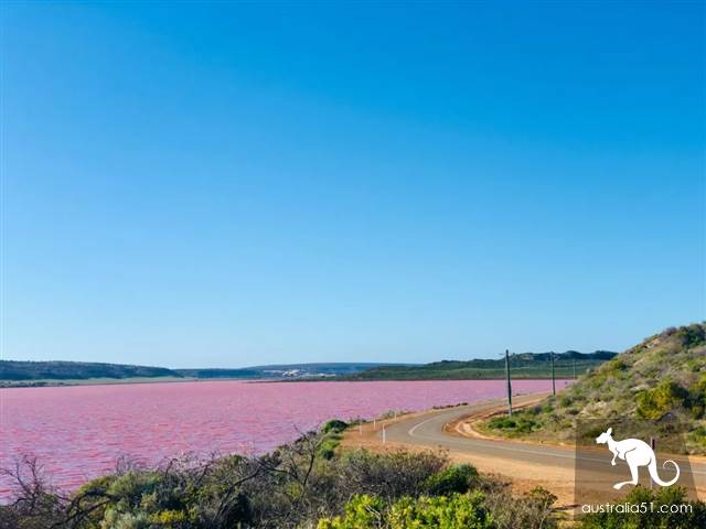 Hutt Lagoon,西澳小粉湖,喂上帝,妳的蘭蔻粉水灑了