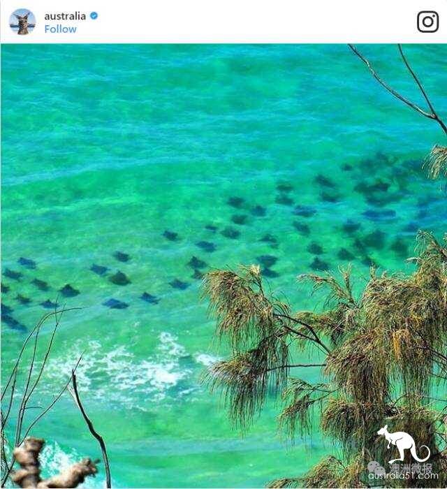 網上被點贊最多的絕美澳洲小島,妳去過幾個?