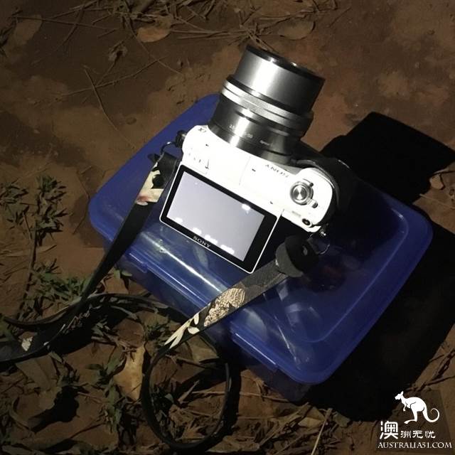 澳洲自駕,從阿德萊德一路向北到地下城庫伯佩迪