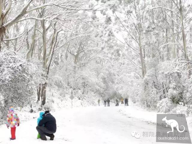 世界十大顶级滑雪场 vs 澳洲人气最高滑雪场！看看你打卡过几个？