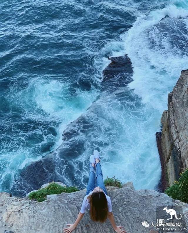 沧海遗珠，悉尼钻石湾保护区，INS博主惊险照秒解锁