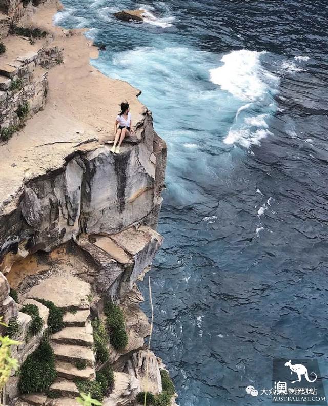 沧海遗珠，悉尼钻石湾保护区，INS博主惊险照秒解锁