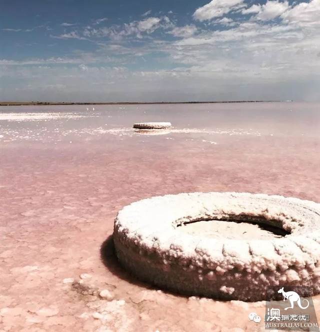 維州「天空之境」泰瑞爾湖乾了,沒了水居然美到上天
