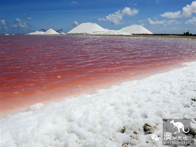 維州「天空之境」泰瑞爾湖乾了,沒了水居然美到上天