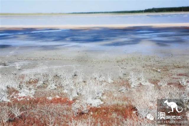 維州「天空之境」泰瑞爾湖乾了,沒了水居然美到上天