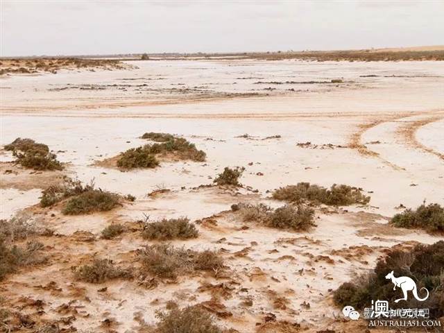 維州「天空之境」泰瑞爾湖乾了,沒了水居然美到上天