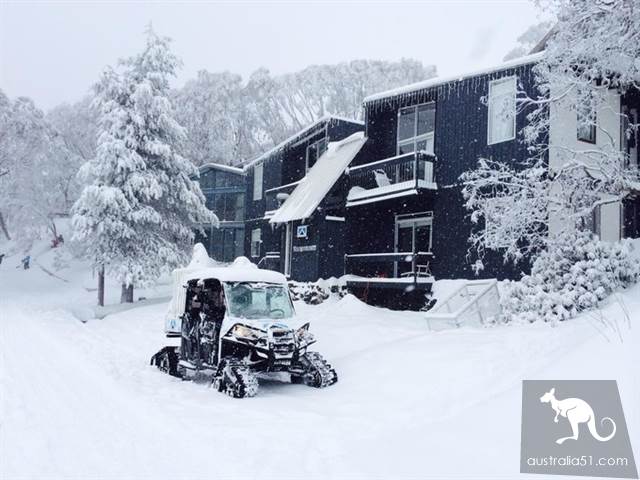 澳洲的純淨世界,超適合新手爽滑的佛斯奎克山(Falls Creek)滑雪場