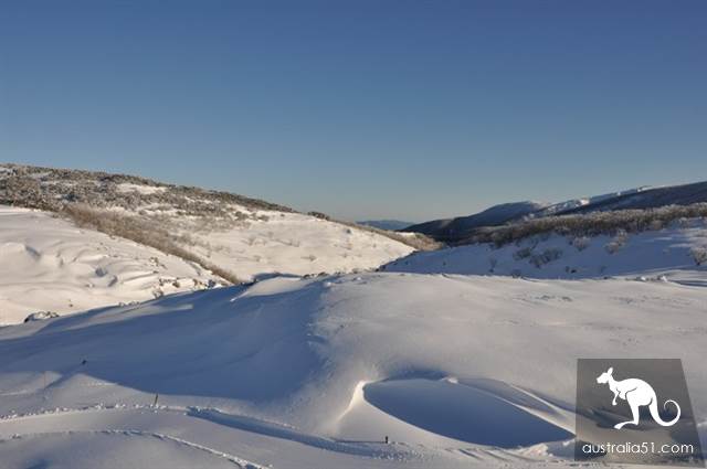 澳洲的純淨世界,超適合新手爽滑的佛斯奎克山(Falls Creek)滑雪場
