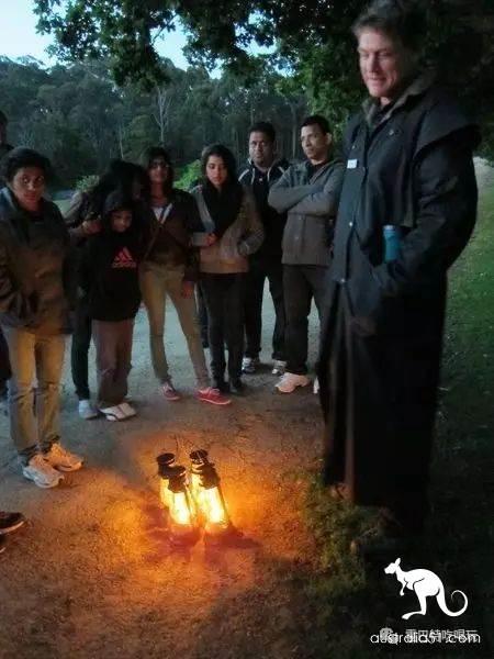 亞瑟港夜晚的探險之旅,勇敢者的旅行