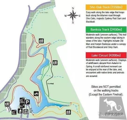 太全了!悉尼週邊9大徒步!44個國傢公園,星空,森林,海灘,一文看遍最野最美的悉尼