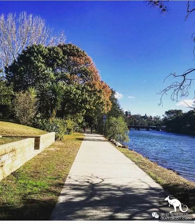 太全了!悉尼週邊9大徒步!44個國傢公園,星空,森林,海灘,一文看遍最野最美的悉尼