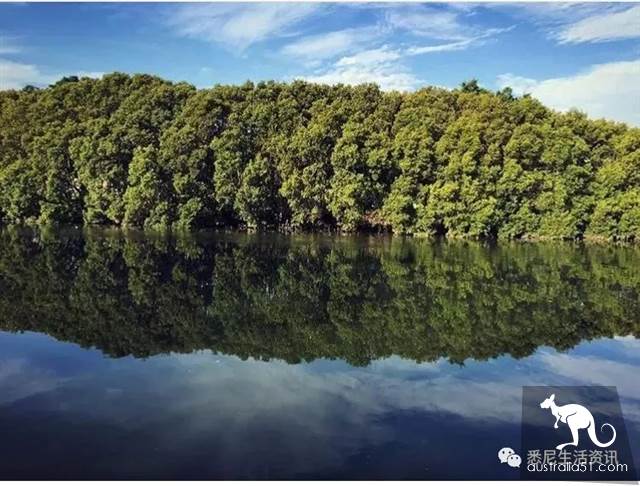 太全了!悉尼週邊9大徒步!44個國傢公園,星空,森林,海灘,一文看遍最野最美的悉尼
