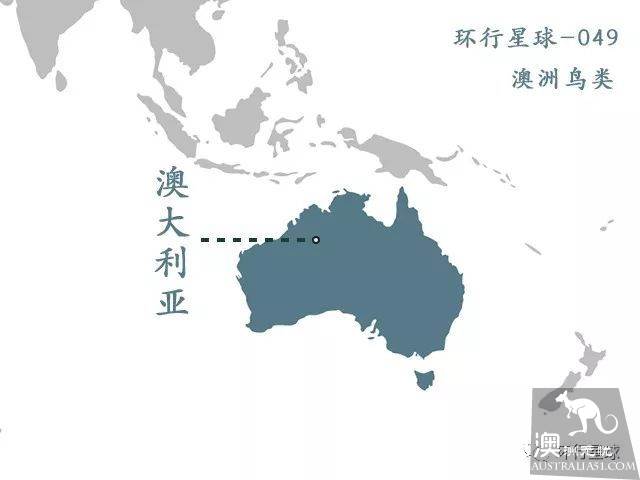 澳大利亞好鳥壞鳥大彙總