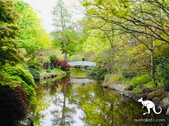 Warran Glen Nursery:鮮花與咖啡邂逅,深山裹的秘密花園