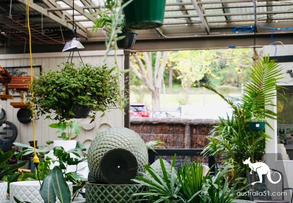 Warran Glen Nursery:鮮花與咖啡邂逅,深山裹的秘密花園
