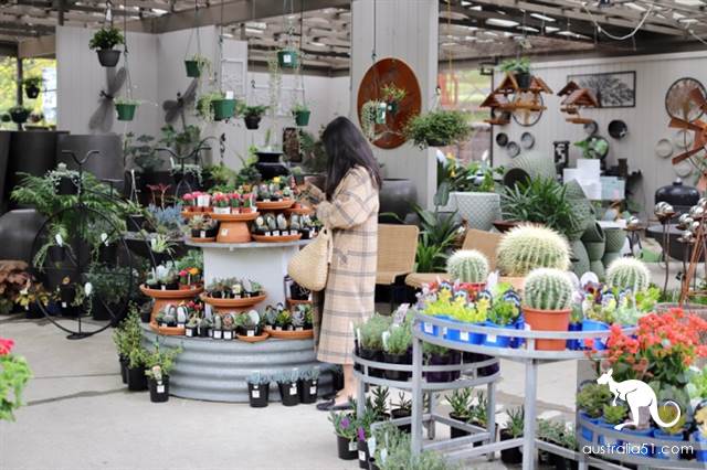 Warran Glen Nursery:鮮花與咖啡邂逅,深山裹的秘密花園
