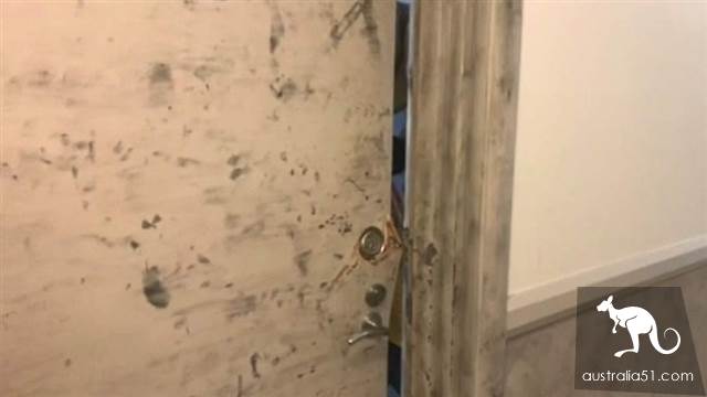 悉尼华裔女子遭藏尸冷冻箱案,丈夫在四川被捕
