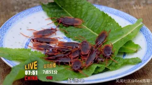 蟑螂(網絡圖片)