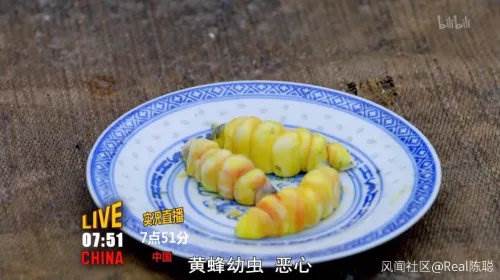 黃蜂幼蟲(網絡圖片)