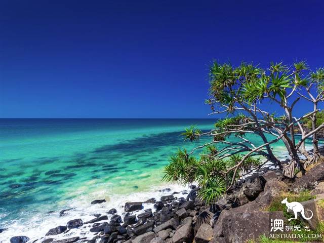 2019澳洲十佳海滩揭晓，悉尼曼利海滩高居榜首