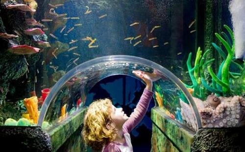 墨尔本海洋生物水族馆攻略,门票预订、开放时间和交通介绍