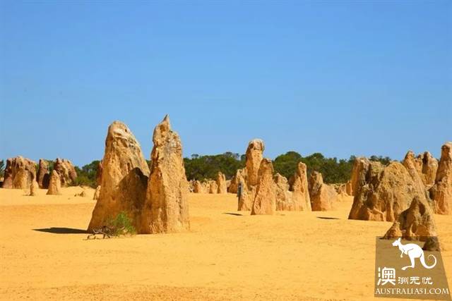 珀斯周边攻略，《妻子的浪漫旅行2》取景地曝光