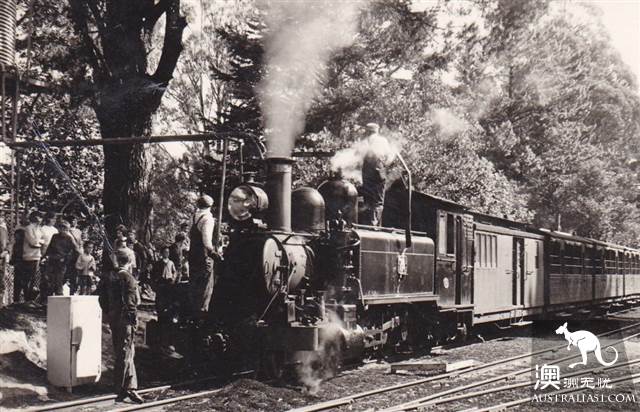 上百年歷史的Puffing Billy Railway小火車,為什麼至今依然受寵?(附小火車遊玩攻略)
