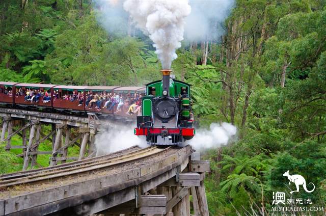 上百年歷史的Puffing Billy Railway小火車,為什麼至今依然受寵?(附小火車遊玩攻略)
